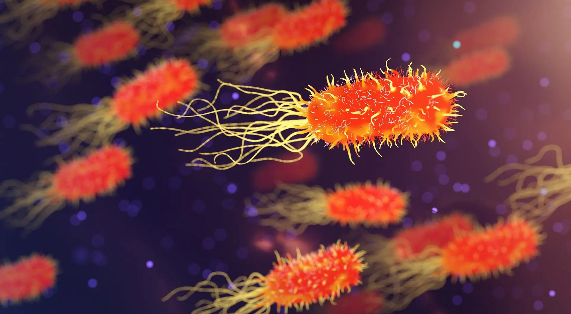 How to Source Research Peptides in Australia